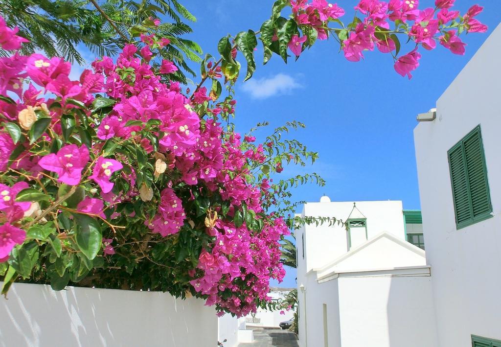 Villas Puerto Rubicon Playa Blanca  Zewnętrze zdjęcie